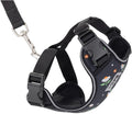 RC Pets Adventure Kitty Cat Harness | Adjustable Airmesh Vest by RCPets