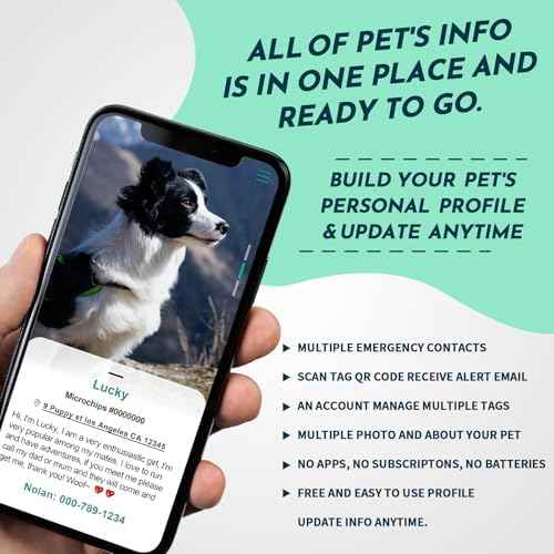 MYLUCKYTAG QR Code Pet ID | Personalized Dog & Cat Collar Tag | Online