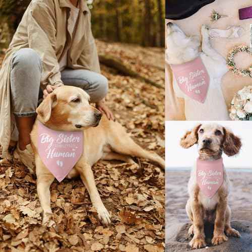 Baby Announcement Dog Bandana Big Sister to My Little Human Gender