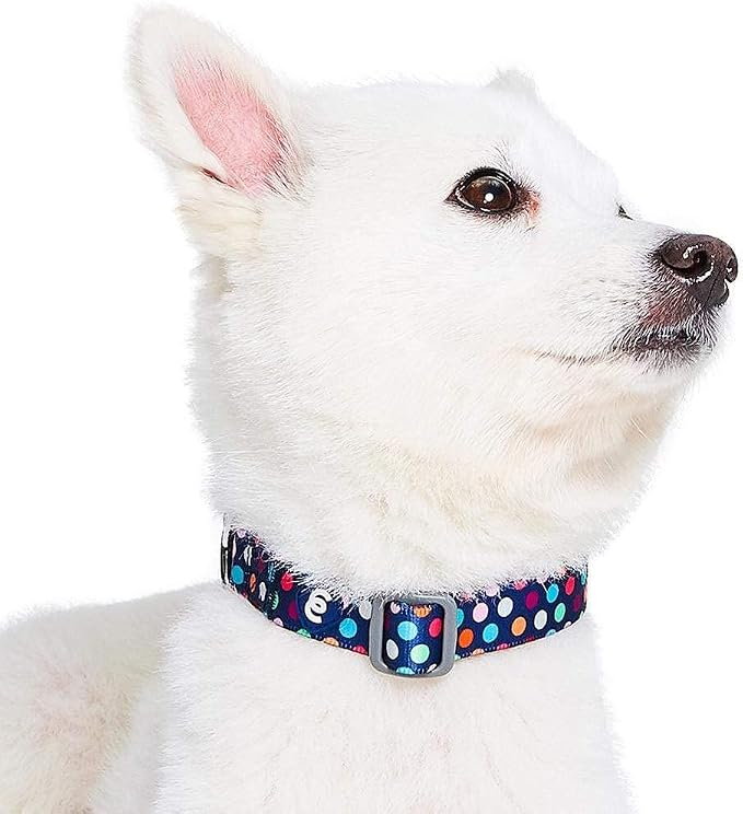 Blueberry Pet Essentials Rainbow Polka Dots Adjustable Dog Collar, Neck 18"-26" - Image 4