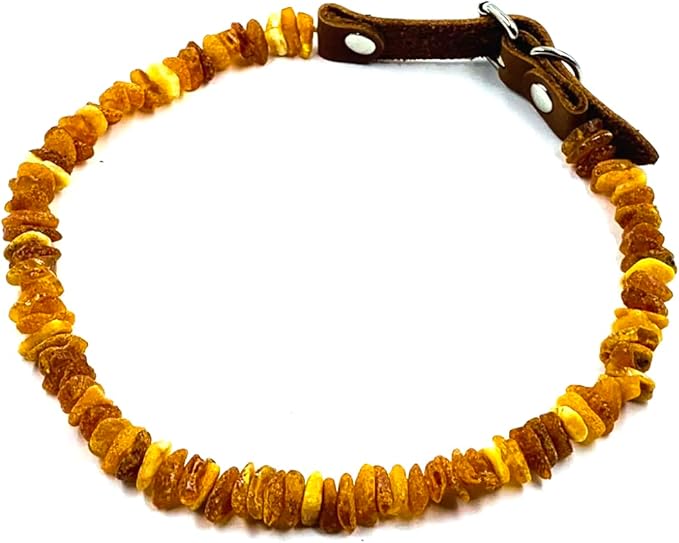 Amber Collars for Dogs & Cats - Image 8