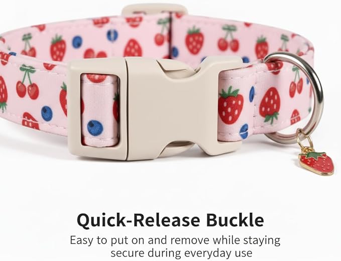 Pink Dog Collar, Female Dog Collar - Image 3