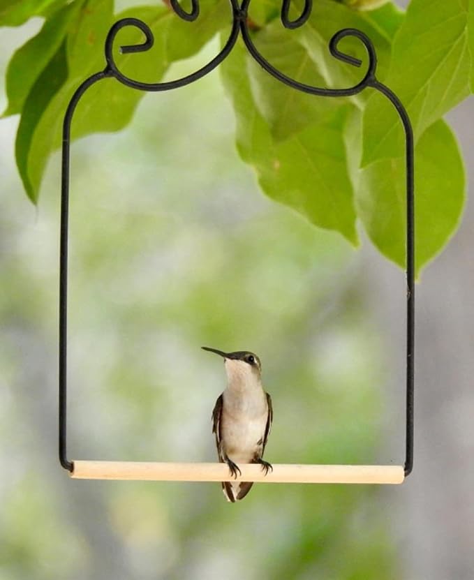 2 Pack Hummingbird Swing Metal Frame Hummingbird Perch Wild Bird Swing - Image 3