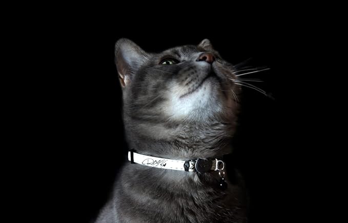 Rogz Glow in the Dark Reflective Cat Collar - Image 2