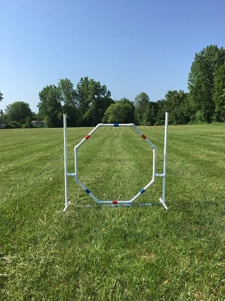 Dog Agility Training Equipment Course Set, Weave Poles, Dog Agility Jump - Image 7