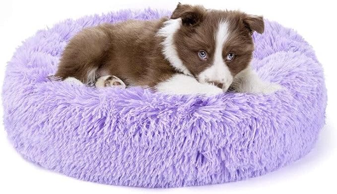 Large Cat Beds for Indoor Cats by Unknown