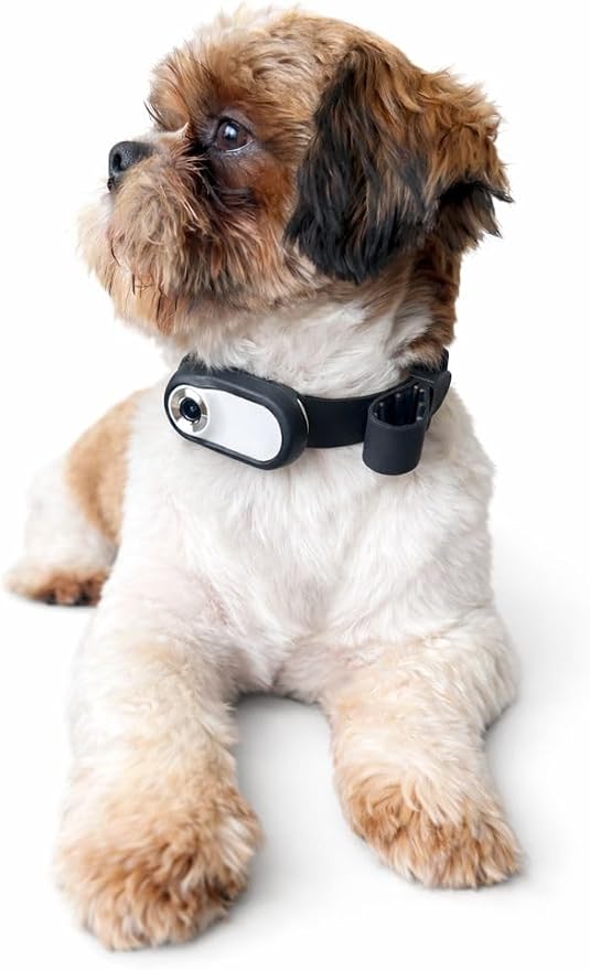 Mini Dog Collar Camera 1080P – Records to Micro SD Card – No Live Streaming – - Image 5