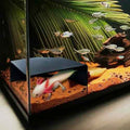 Aquarium Corner Cave Hide Axolotl Cichlid Cave Fish Tank Accessories