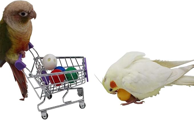 QBLEEV 5 Pack Bird Bell Balls Sets - Image 8