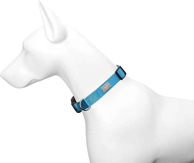 Dog Collar Light Blue Basic Dog Collars
