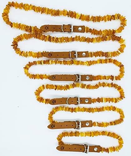 Baltic Amber Dog & Cat Collar - Image 6