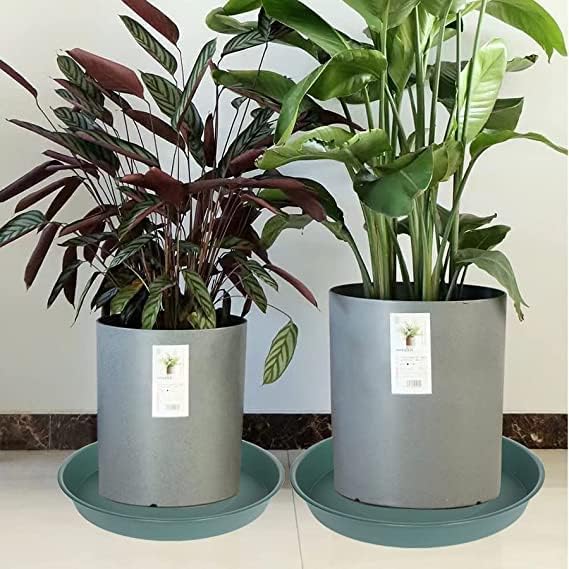 2 Pack of 8 inch Plant Saucer Clear, Heavy Duty Plastic Plant Water Tray 8 inch - Image 5