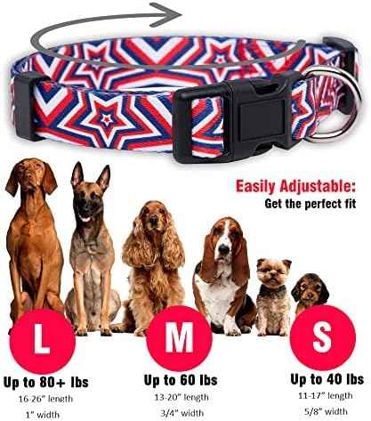 Native Pup American Flag Dog Collar- Red White and Blue- Patriotic