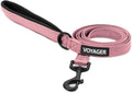 Best Pet Supplies Voyager Reflective Dog Leash or Collar by BestPetSuppliesLLC