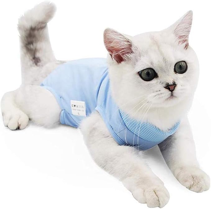 Cat Recovery Suit for Abdominal Wounds or Skin Diseases, Cat Onesie for Cats by Coppthinktu