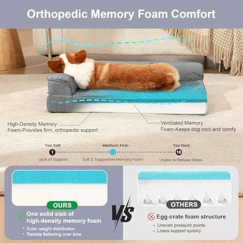 Rainmr Dog Beds for Small Dogs - Washable Pet Bed for Puppy and Kitten