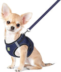 FEimaX Dog Harness and Leash Set, No Pull Breathable Soft Mesh Puppy Vest by FEimaX