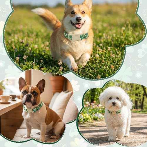 St. Patrick's Day Dog Collar,Green Clover Lucky Shamrock Puppy