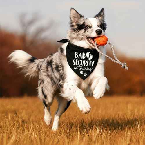 Baby Security Dog Bandana - Pregnancy Reveal Accessory for Dogs