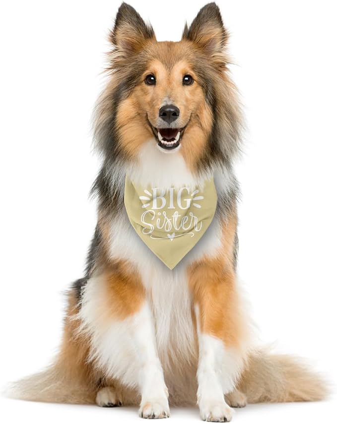 Big Sister Dog Bandanas, Light Yellow Dog Bandana, Pet Scarf Triangle - Image 4