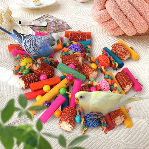 Kyouki Parrots Toys for Cockatiels, Budgies, Conures, Lovebirds