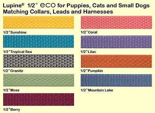 LupinePet Eco 1/2" Berry Cat Safety Collar - Image 3