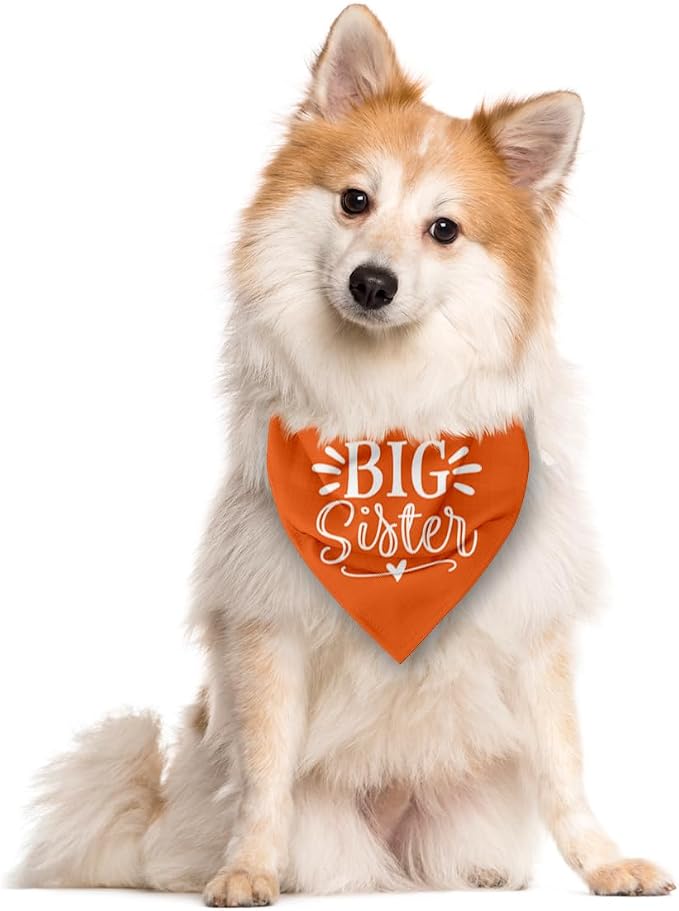 Big Sister Dog Bandana, Big Sister Bandana - Image 2