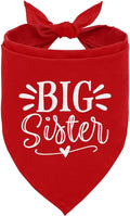 Big Sister Dog Bandana, Pet Dogs Pregnancy Announcement, Pet Bandanas by ZPPRJF