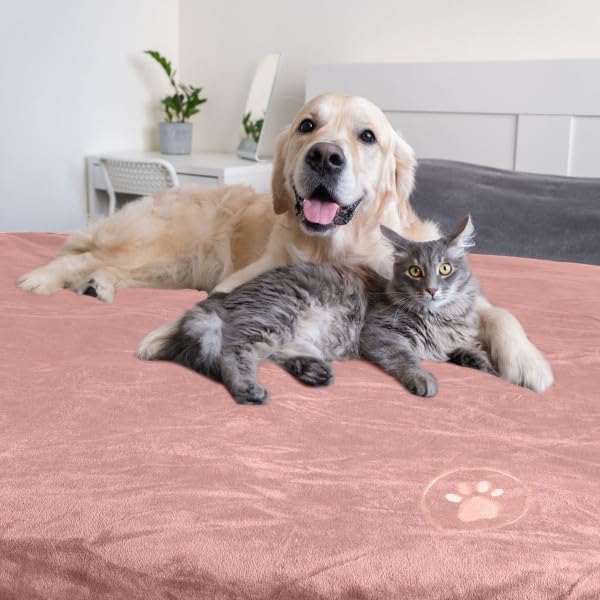 Waterproof Pet Blanket - Image 8