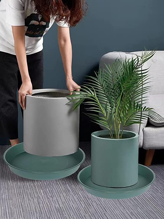 6 Pack of 10 inch Plant Saucer Bird Bath Bowl, Heavy Duty Plastic Plant Saucer - Image 6