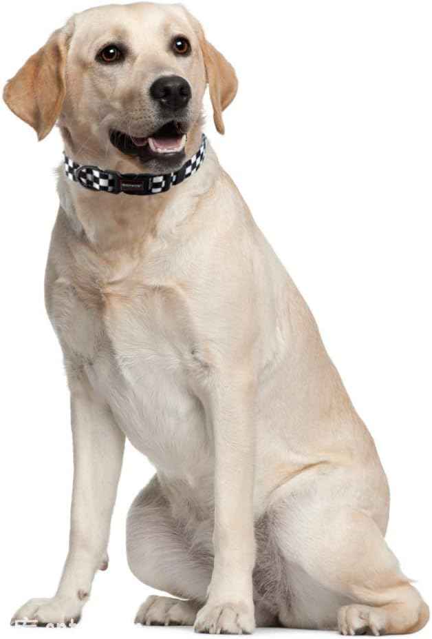 QQPETS Adjustable Soft Dog Collar: Print Flower Pink Multicolor Cute Patterns
