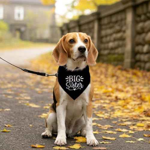 Big Sister Bandana for Dog, Pet Pregnancy Announcement, Black Dog