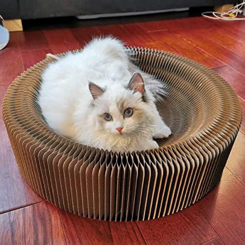 Cat Scratcher Lounge Bed - Image 4