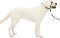 PetSafe Gentle Leader No-Pull Headcollar by PetSafe