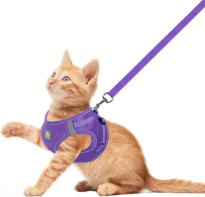 FEimaX Dog Harness and Leash Set, No-Pull Breathable Soft Mesh Puppy Vest - Image 2