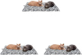 Furhaven ThermaNAP Self-Warming Cat Bed by FurHaven