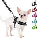 SlowTon No Pull Small Dog Harness and Leash Set, Puppy Soft Vest Harness Neck & by SlowTon