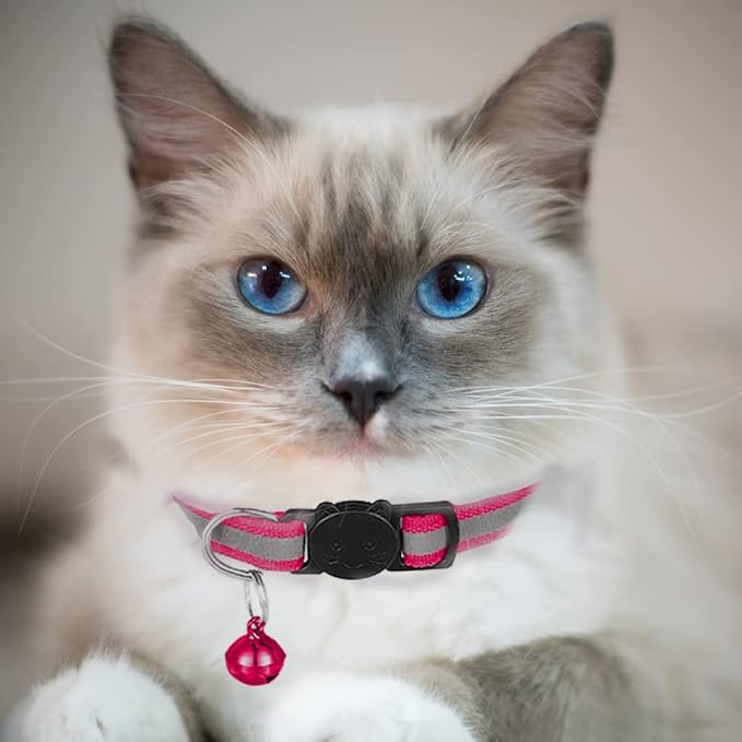 2 Pack Cat Collars Quick Release Reflective Kitten Collar - Image 3
