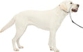 PetSafe Gentle Leader Headcollar by PetSafe
