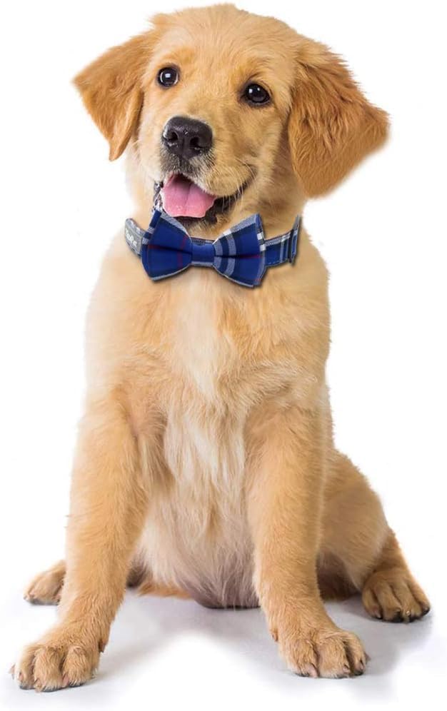 Yizepet Dog Collar with Bow Tie- Adjustable pet Collar for Dogs with