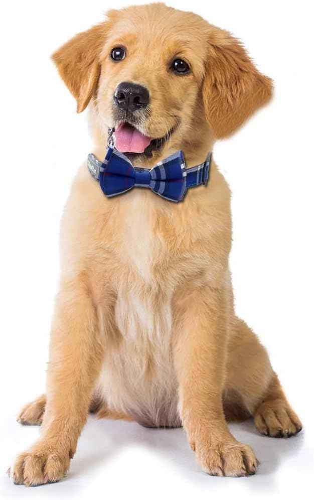 Yizepet Dog Collar with Bow Tie- Adjustable pet Collar for Dogs with