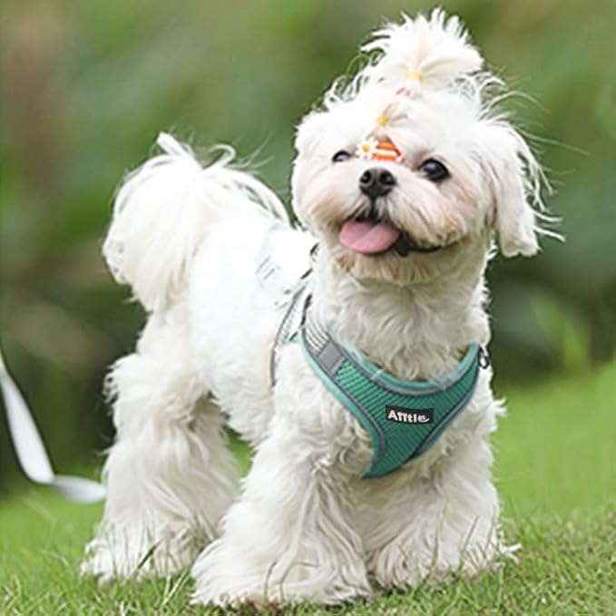 AIITLE Escape Proof Dog Harness - Image 8