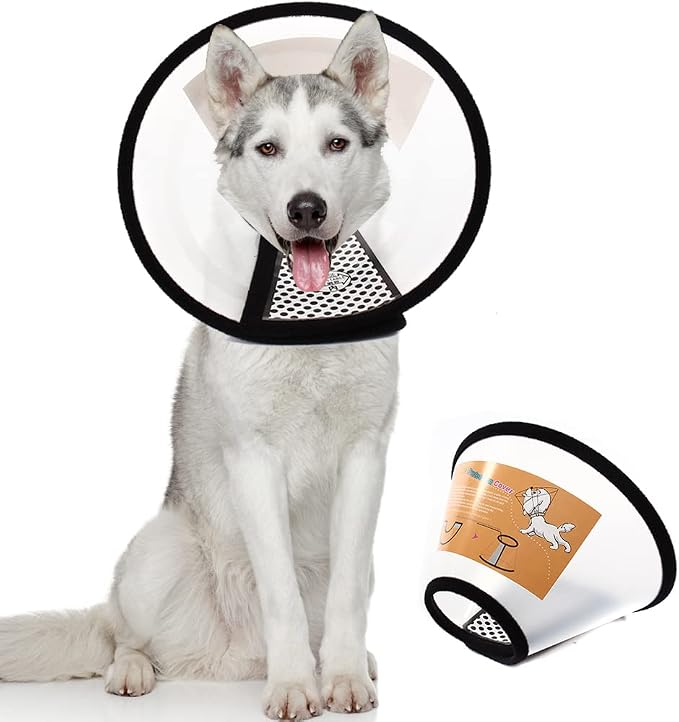 Plastic Pet Recovery Collars & Cones by QIYADIN