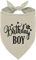 Birthday Boy Dog Bandana, Apricot Pet Triangle Scarf for Birthday