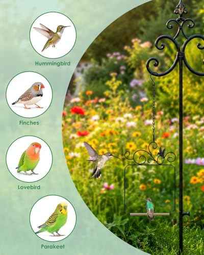 PACETAP Hummingbird Swings and Perches Metal Frame 2 Pack, Wild Bird