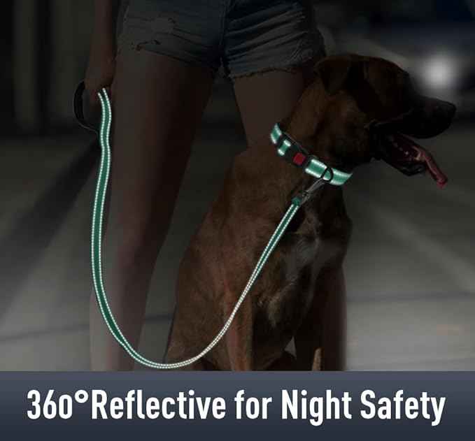 Airtag Dog Collar with AirTag Holder