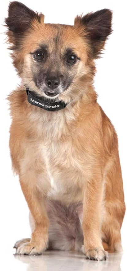 2-Pet Tracking System for Large and Small Dogs and Cats, Waterproof and Rugged - Image 3