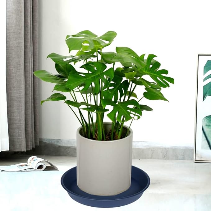 6 Pack of 12 inch Plant Saucer, Heavy Duty Plastic Plant Saucer 12" Round - Image 4