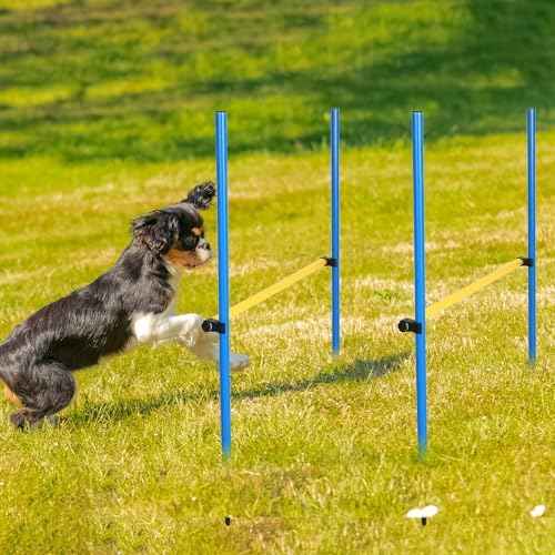 Hollowfly 8 Set Dog Agility Jump Adjustable Dog Agility Hurdle