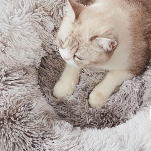 WESTERN HOME WH Calming Dog & Cat Bed, Anti-Anxiety Donut Cuddler Warming Cozy - Image 5